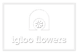 iglooflowers.com